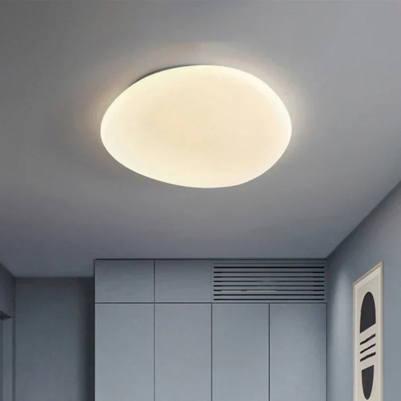 LumaStone Organic LED Ceiling Light With Natural Stone Shape For Minimalist Interiors